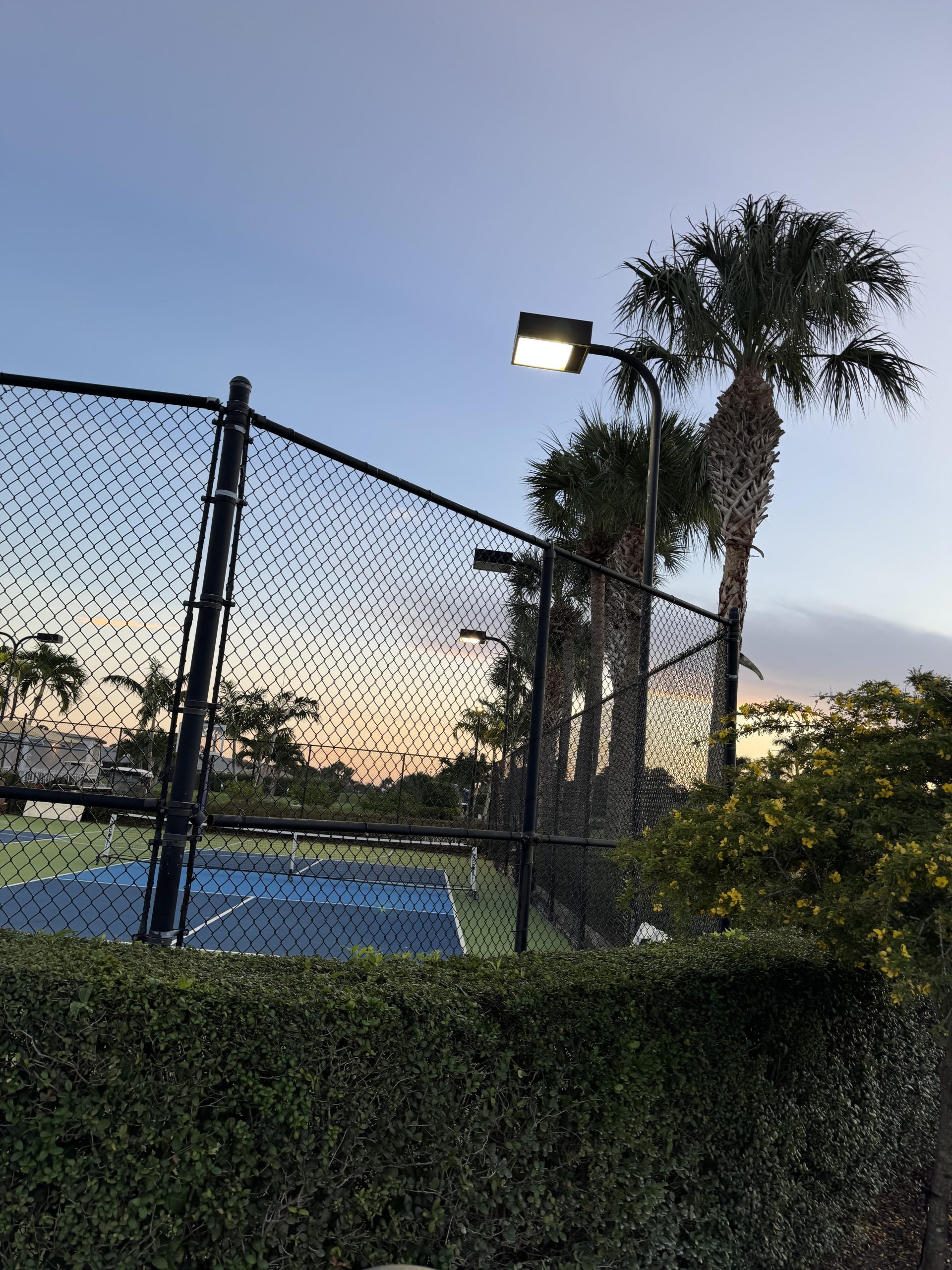Court light